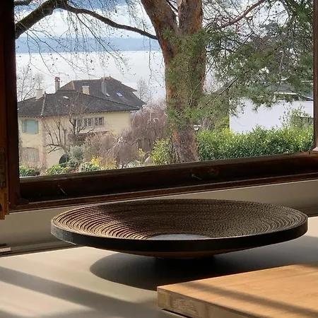 'le Petit Clos Suites'- Charming Getaway On Leman ニヨン
