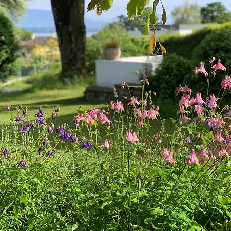 'le Petit Clos Suites'- Charming Getaway On Leman Apartment