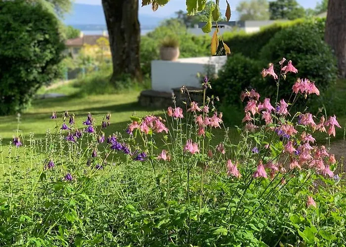 'le Petit Clos Suites'- Charming Getaway On Leman * Nyon